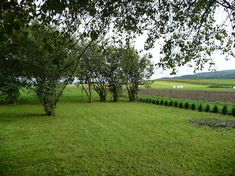 Podwórko